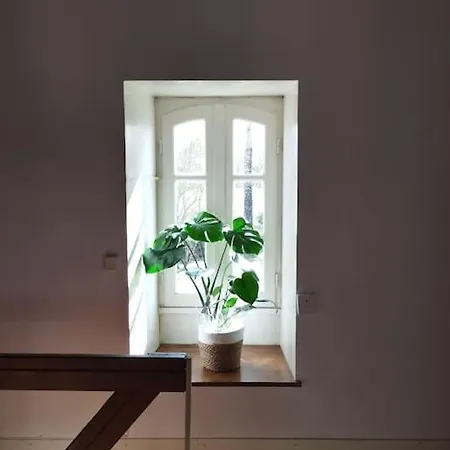 Chaleureux Au Calme Salles-de-Barbezieux